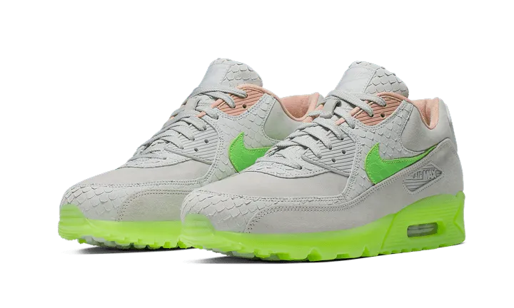 Air Max 90 New Species - CQ0786-001