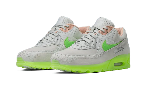 Air Max 90 New Species - CQ0786-001