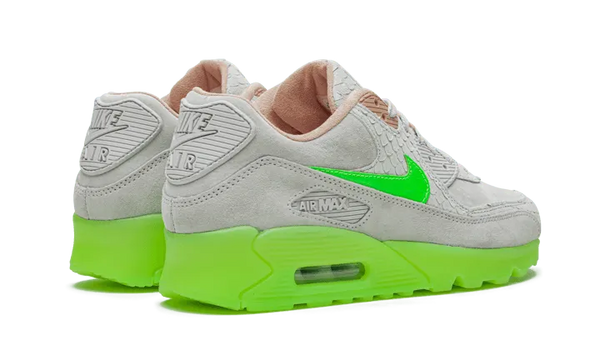 Air Max 90 New Species - CQ0786-001