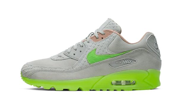 Air Max 90 New Species - CQ0786-001