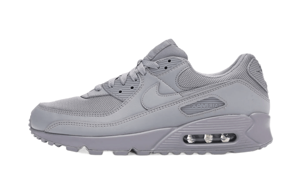 Air Max 90 Recraft Wolf Grey - CN8490-001