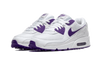 Air Max 90 Voltage Purple - CT1028-100