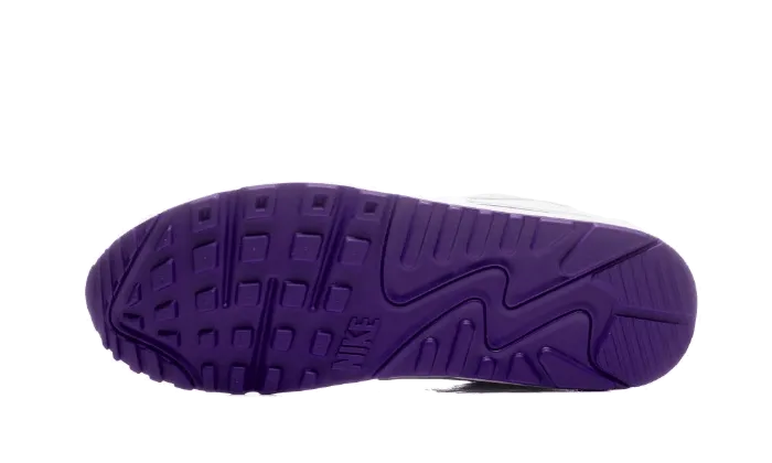 Air Max 90 Voltage Purple - CT1028-100