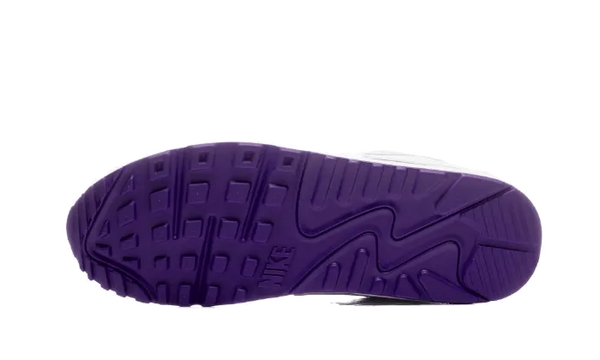 Air Max 90 Voltage Purple - CT1028-100