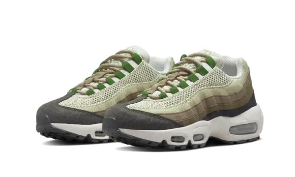 Air Max 95 Earth Day - DV3450-300