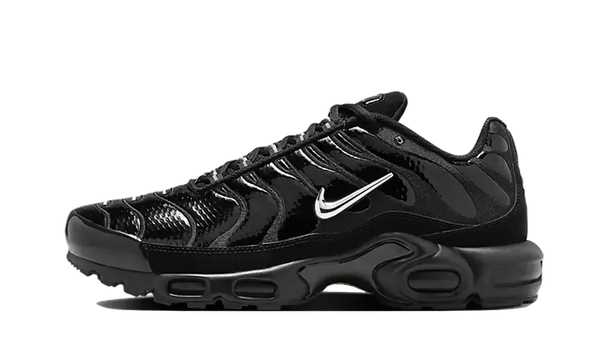 Air Max Plus Black Volt Silver - FJ2591-001