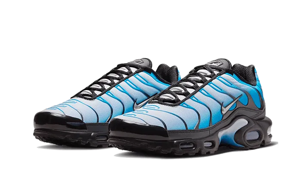 Air Max Plus Blue Gradient - FQ0204-010