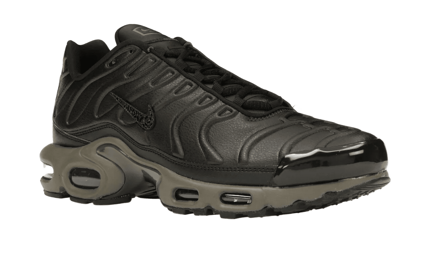 Air Max Plus Premium Paris - HJ4519-200