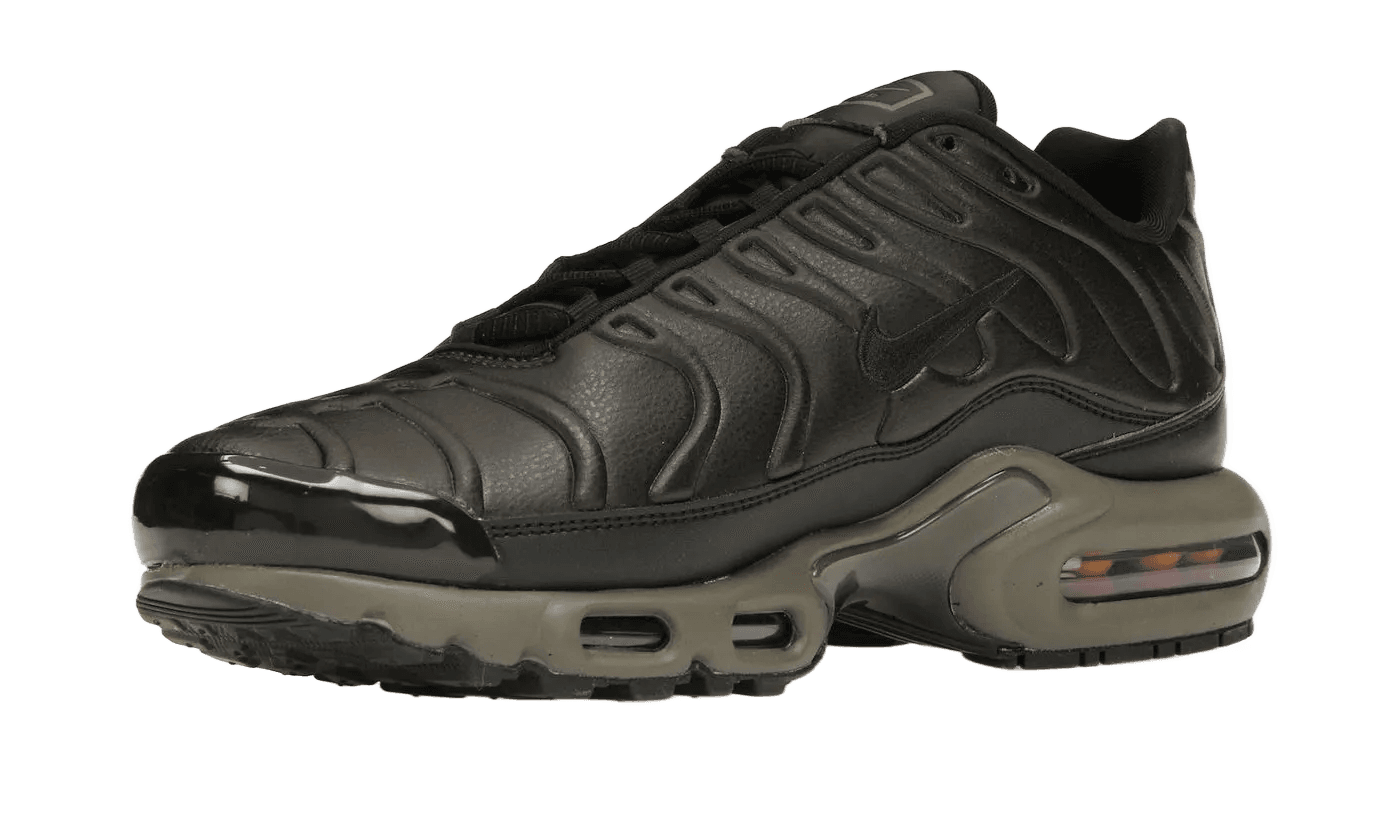 Air Max Plus Premium Paris - HJ4519-200