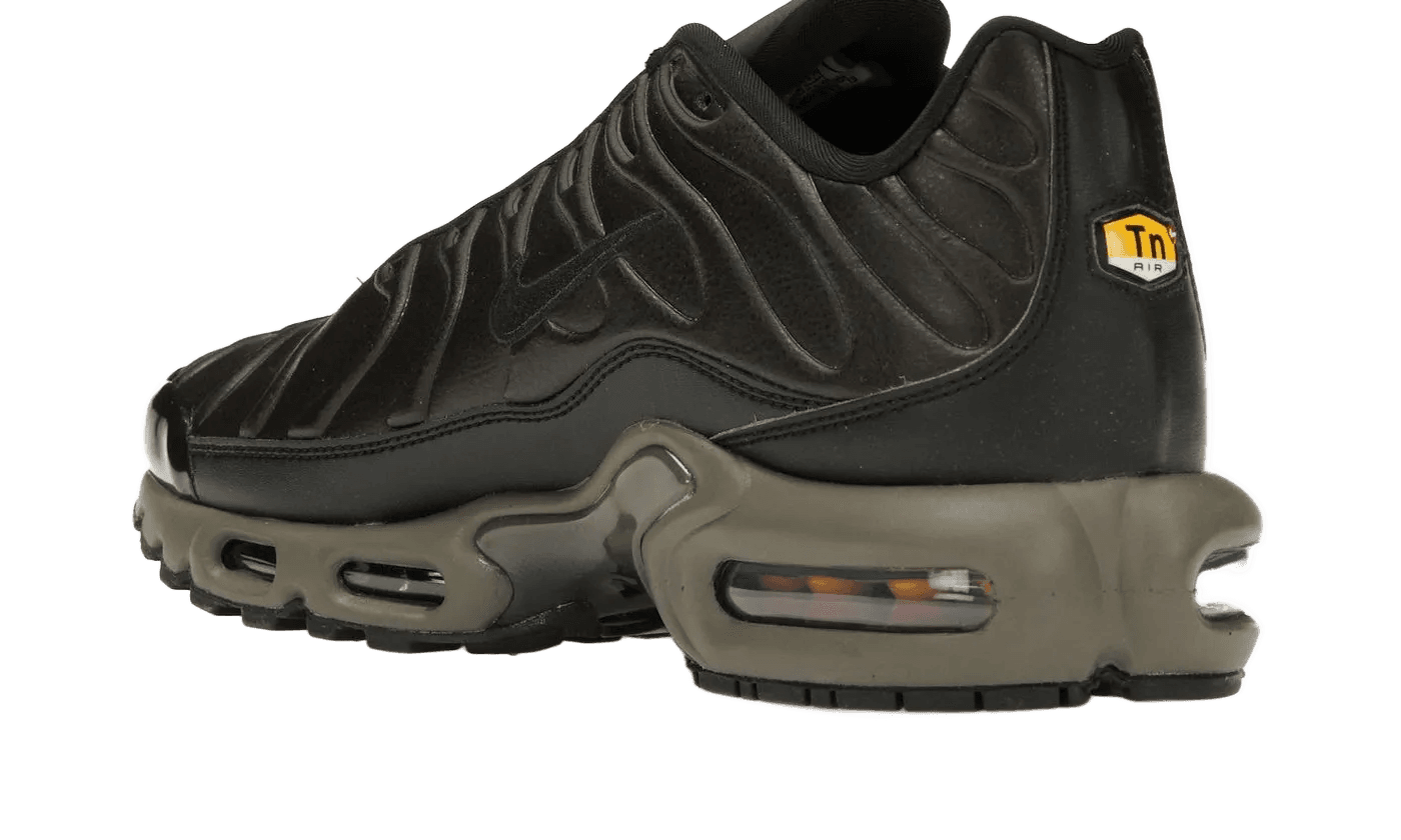 Air Max Plus Premium Paris - HJ4519-200