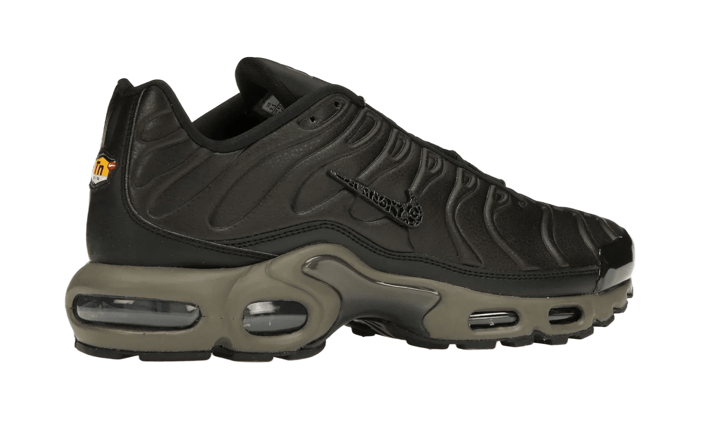 Air Max Plus Premium Paris - HJ4519-200