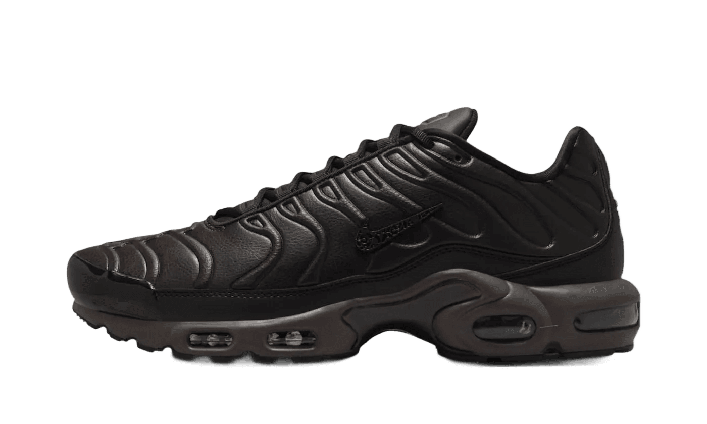 Air Max Plus Premium Paris - HJ4519-200