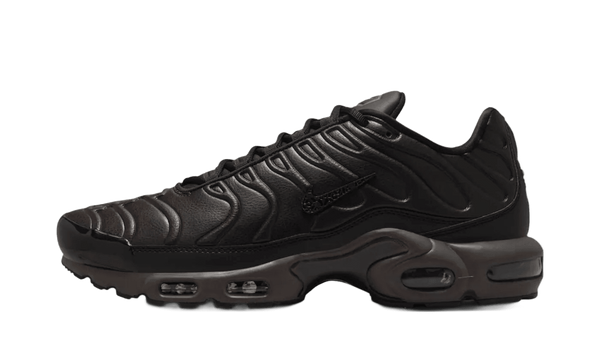 Air Max Plus Premium Paris - HJ4519-200