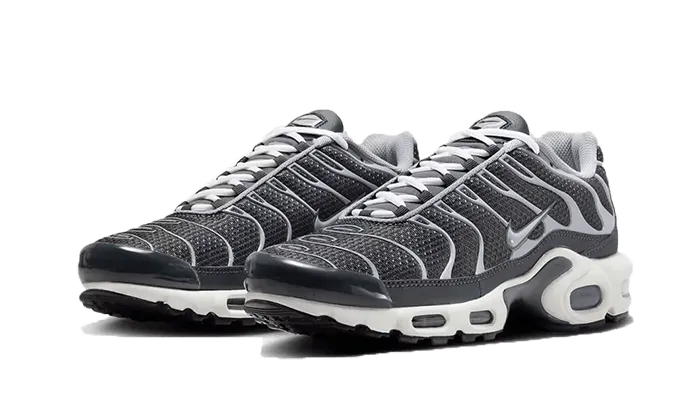 Air Max Plus SE Greyscale Cool Grey - DZ2655-001