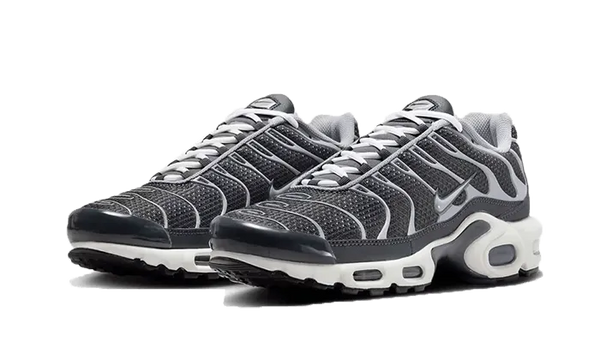 Air Max Plus SE Greyscale Cool Grey - DZ2655-001