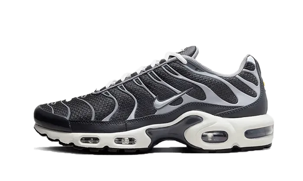 Air Max Plus SE Greyscale Cool Grey - DZ2655-001