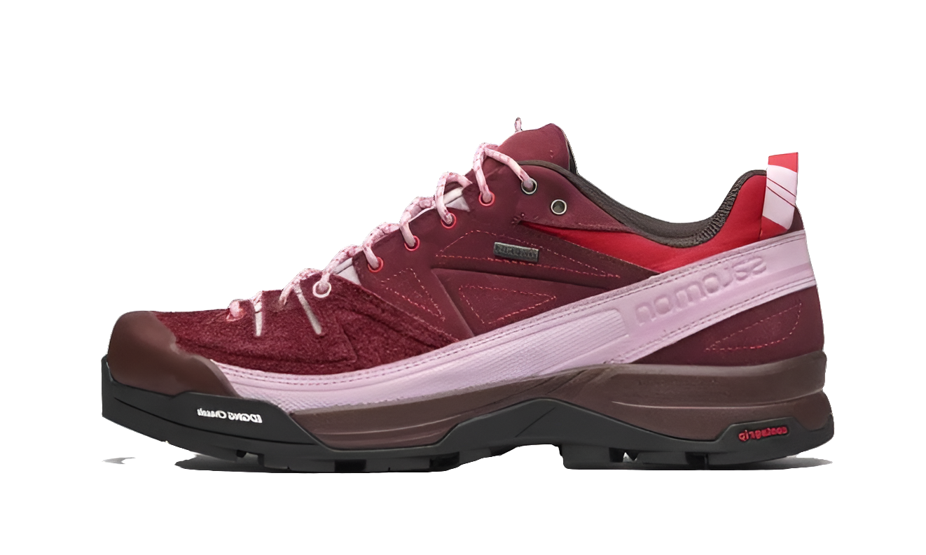 Salomon X-Alpages GTX The Broken Arm Pink Brown
