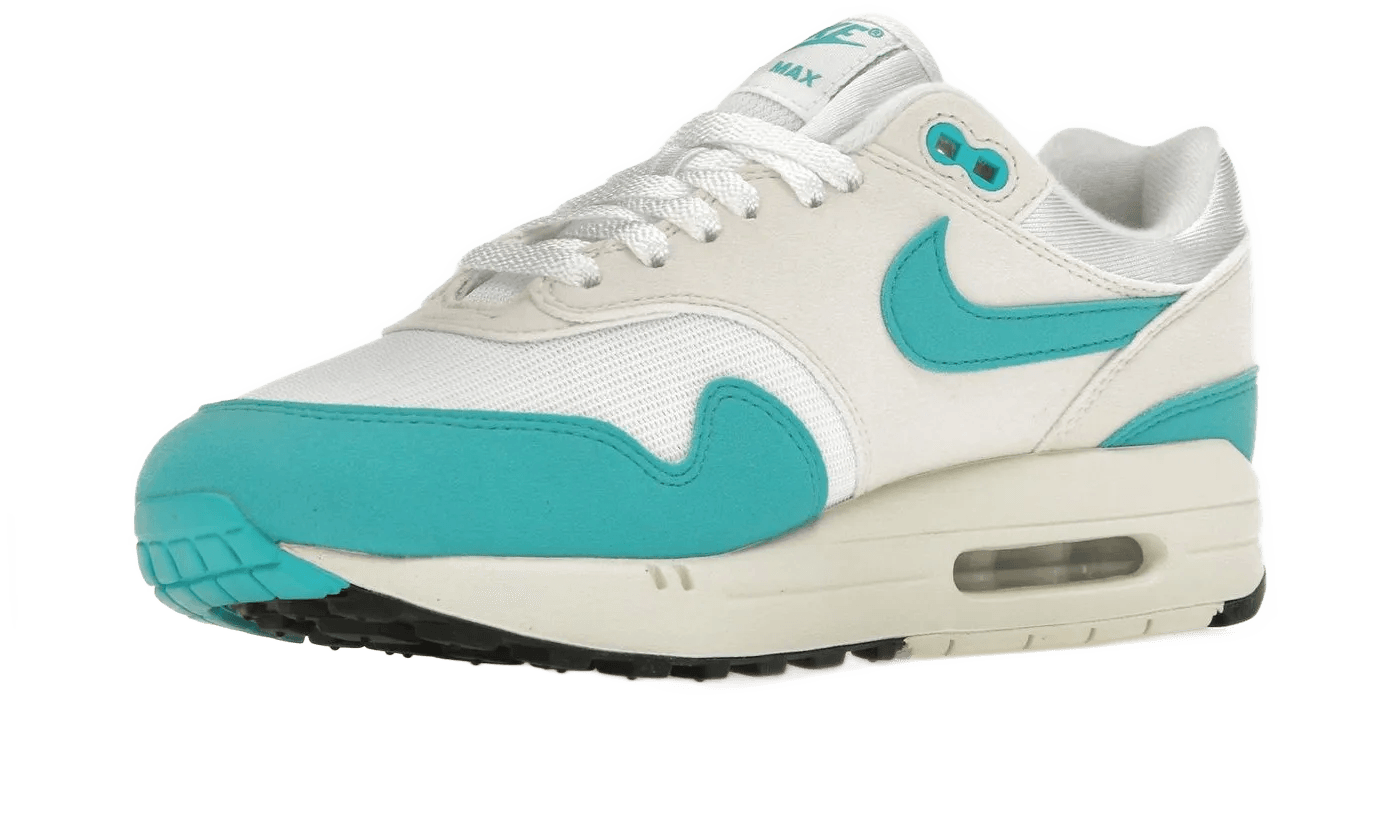 Air Max 1 Dusty Cactus - DZ2628-107