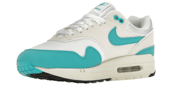 Nike Air Max 1 Dusty Cactus DZ2628 107 Shade Studios