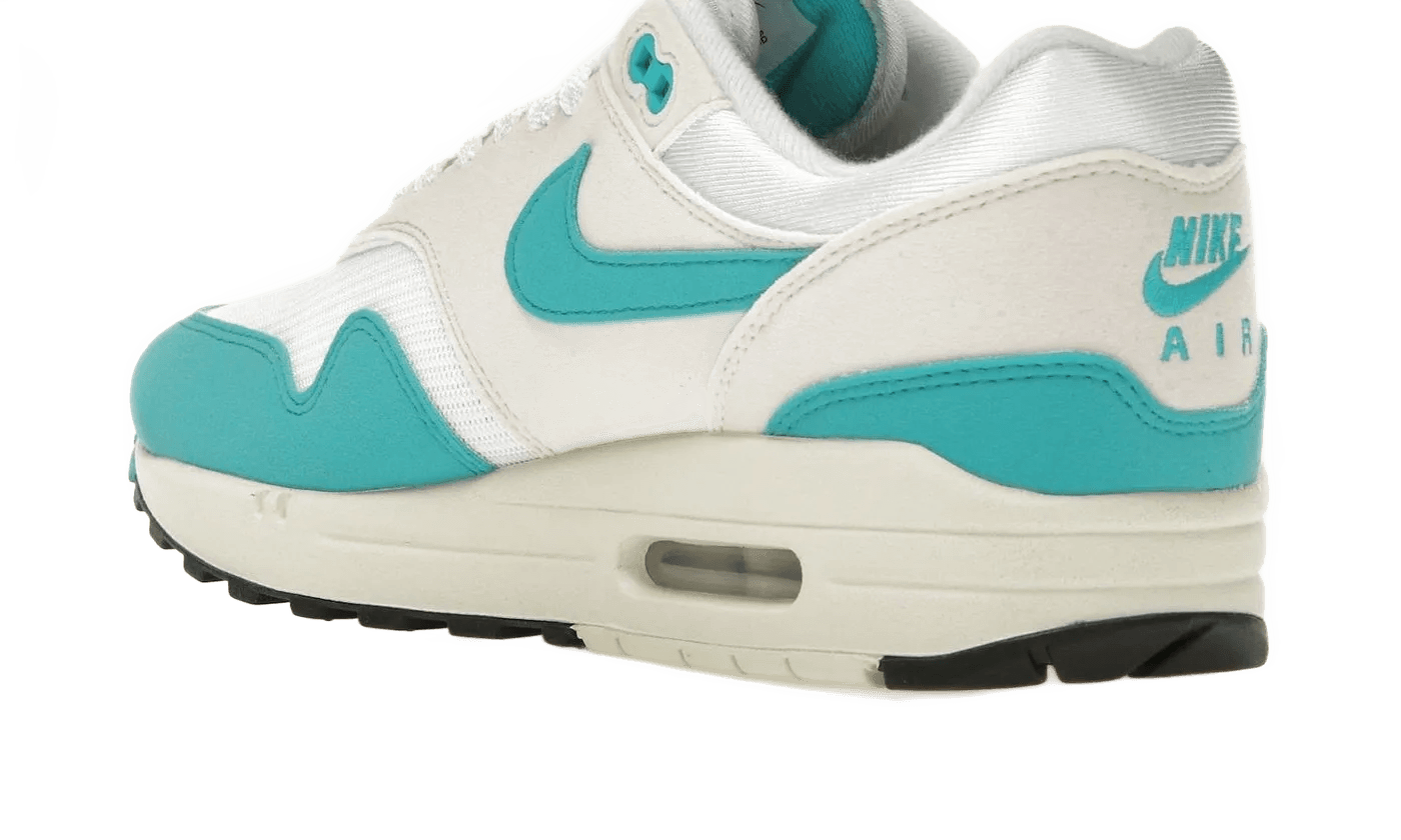 Air Max 1 Dusty Cactus - DZ2628-107