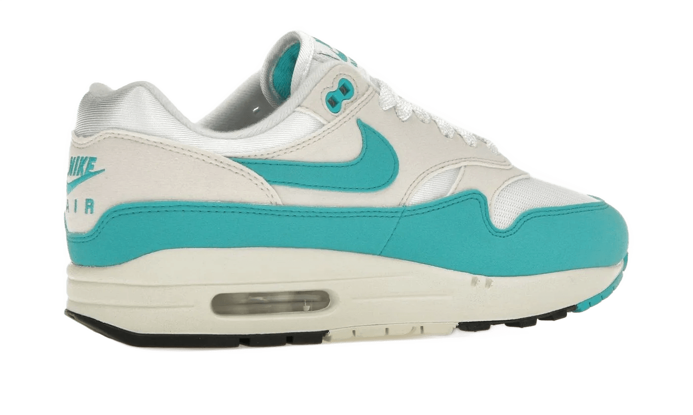 Air Max 1 Dusty Cactus - DZ2628-107