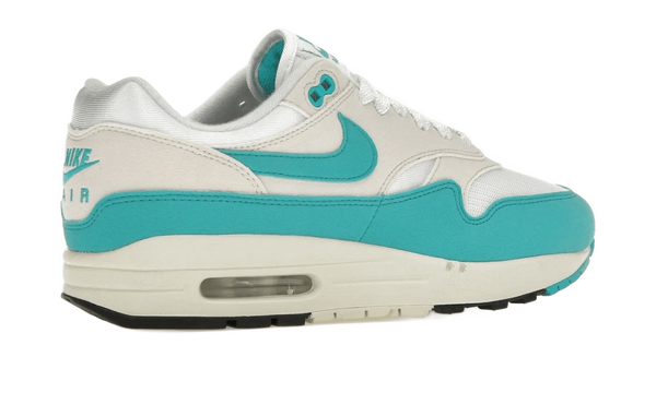 Air Max 1 Dusty Cactus - DZ2628-107