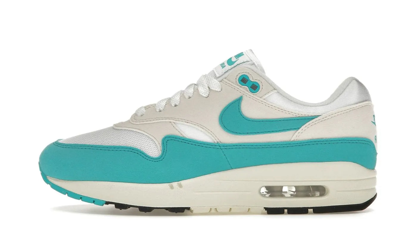 Air Max 1 Dusty Cactus - DZ2628-107