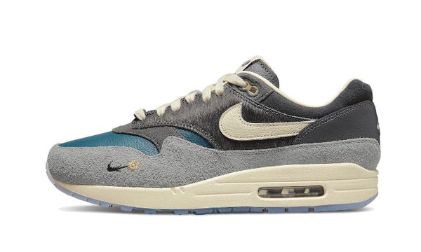 Nike Nike Air Max 1 Kasina Won Ang Grey DQ8475 001 SHADESTUDIO.DE