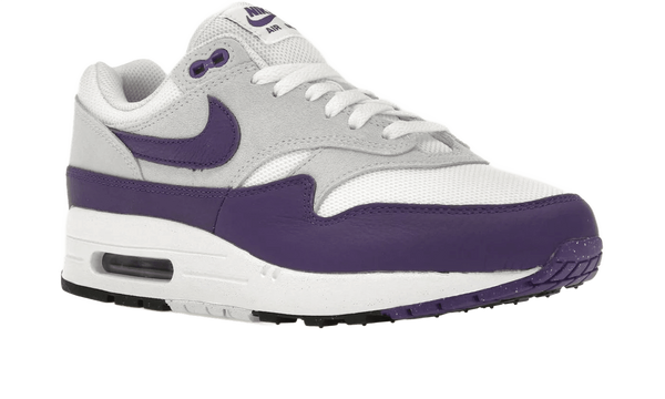 Air Max 1 SC Field Purple - DZ4549-101