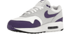 Air Max 1 SC Field Purple - DZ4549-101