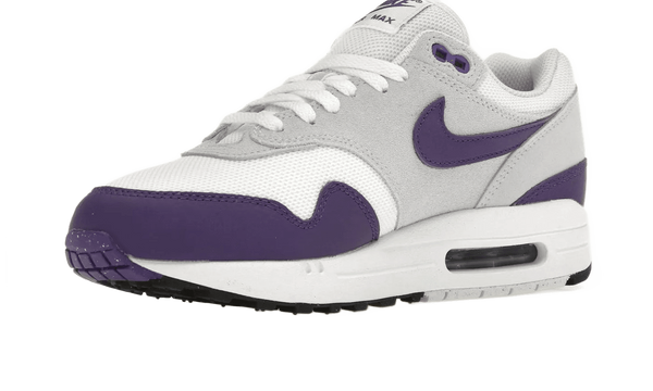 Air Max 1 SC Field Purple - DZ4549-101