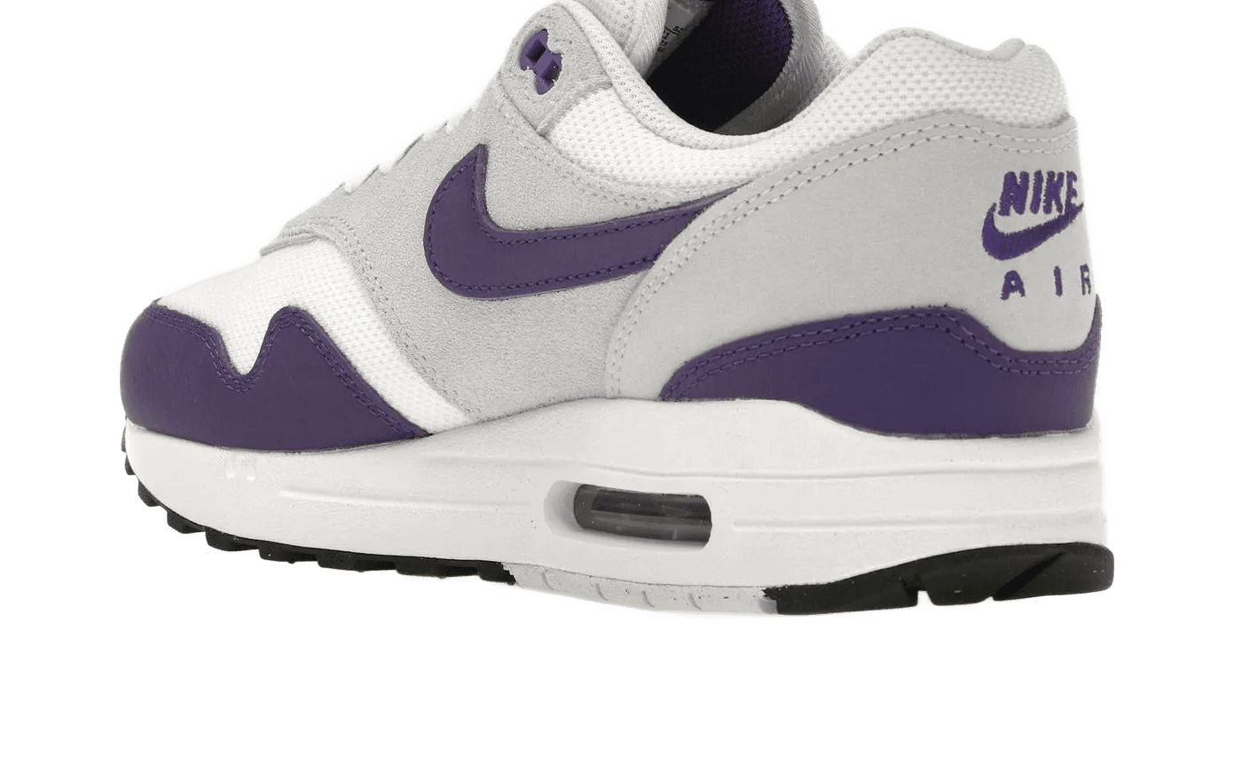 Air Max 1 SC Field Purple - DZ4549-101