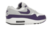 Air Max 1 SC Field Purple - DZ4549-101