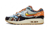 Nike Air Max 1 SP Concepts Heavy