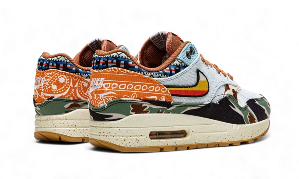 Nike Nike Air Max 1 SP Concepts Heavy - DN1803-900