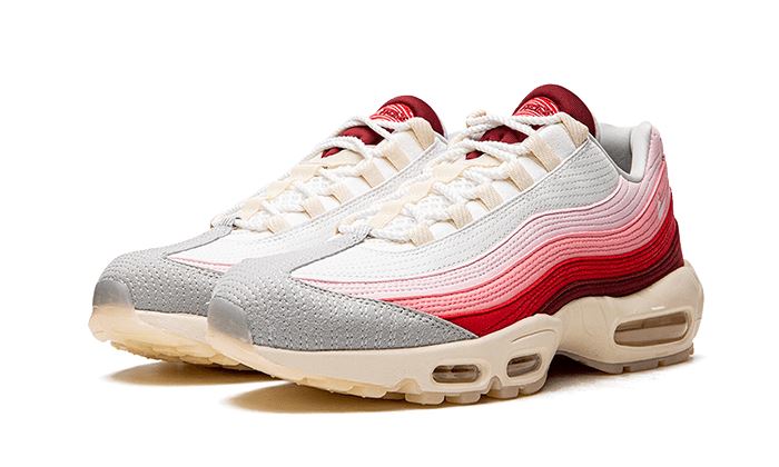 Nike Nike Air Max 95 Anatomy of Air - DM0012-600