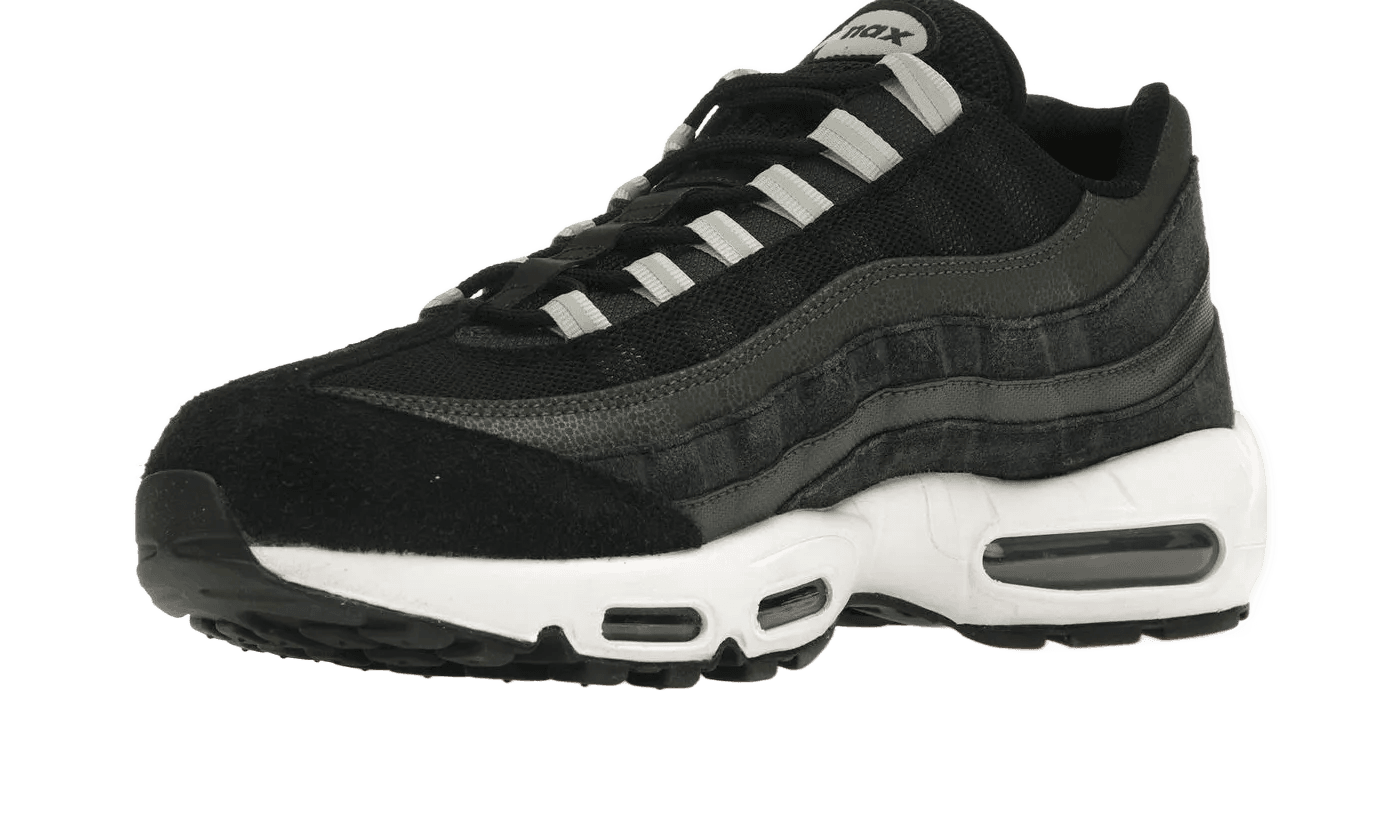 Air Max 95 Black Anthracite Pure Platinum - DM0011-009