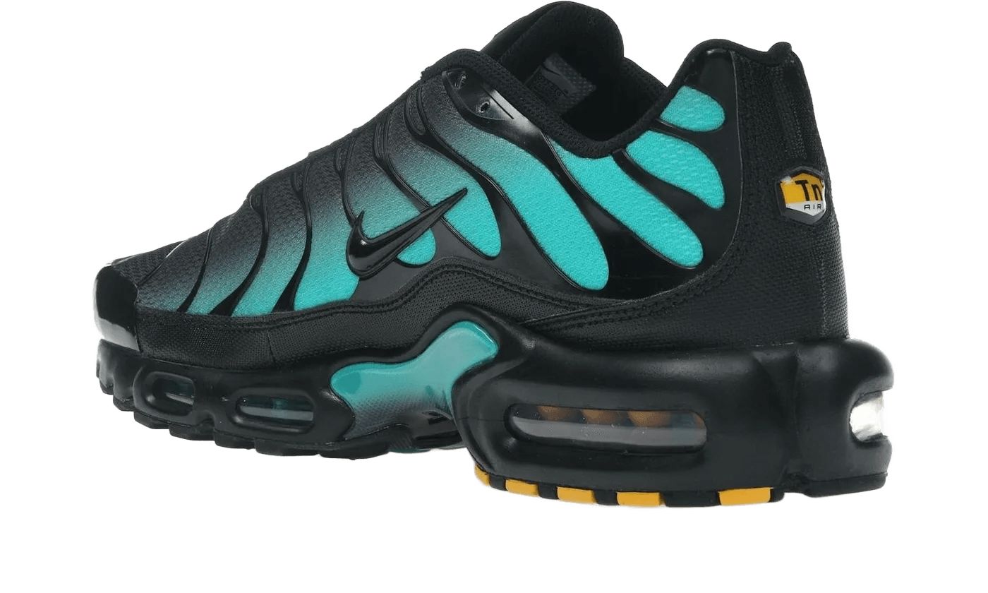 Nike Air Max Plus Black Dusty Cactus