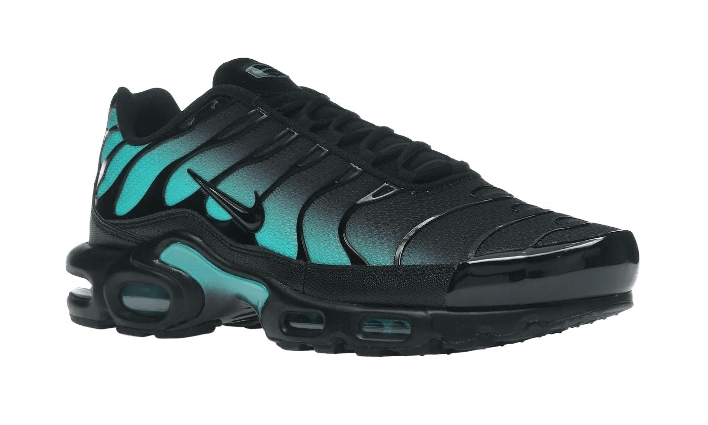 Nike Air Max Plus Black Dusty Cactus