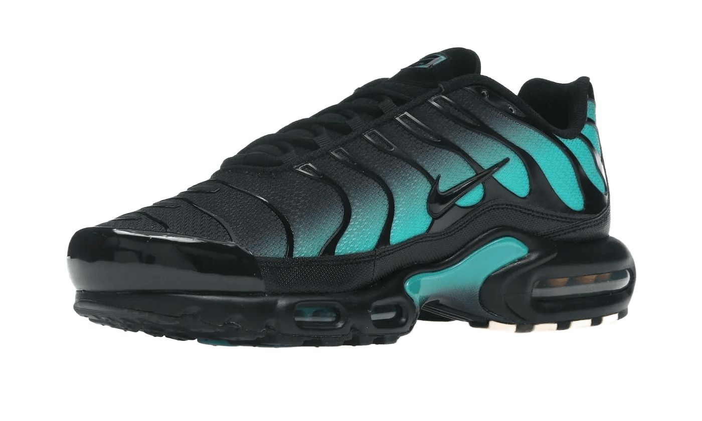 Nike Air Max Plus Black Dusty Cactus