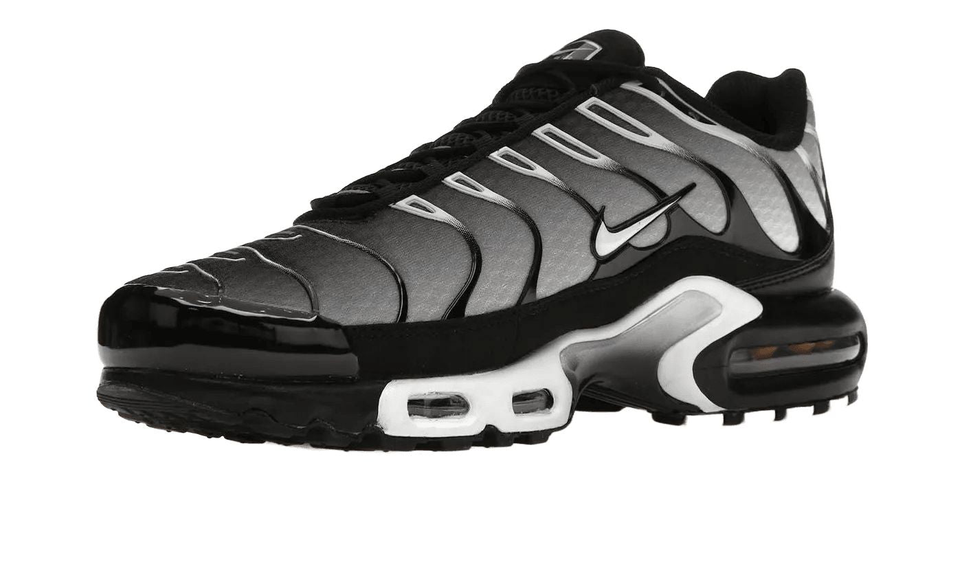 Nike Air Max Plus Black Silver White