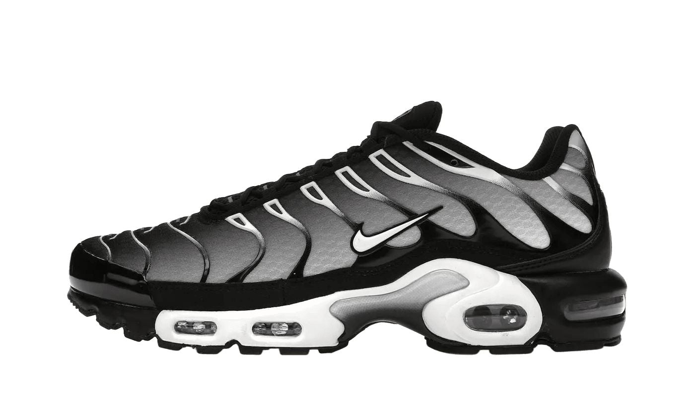 Nike Air Max Plus Black Silver White