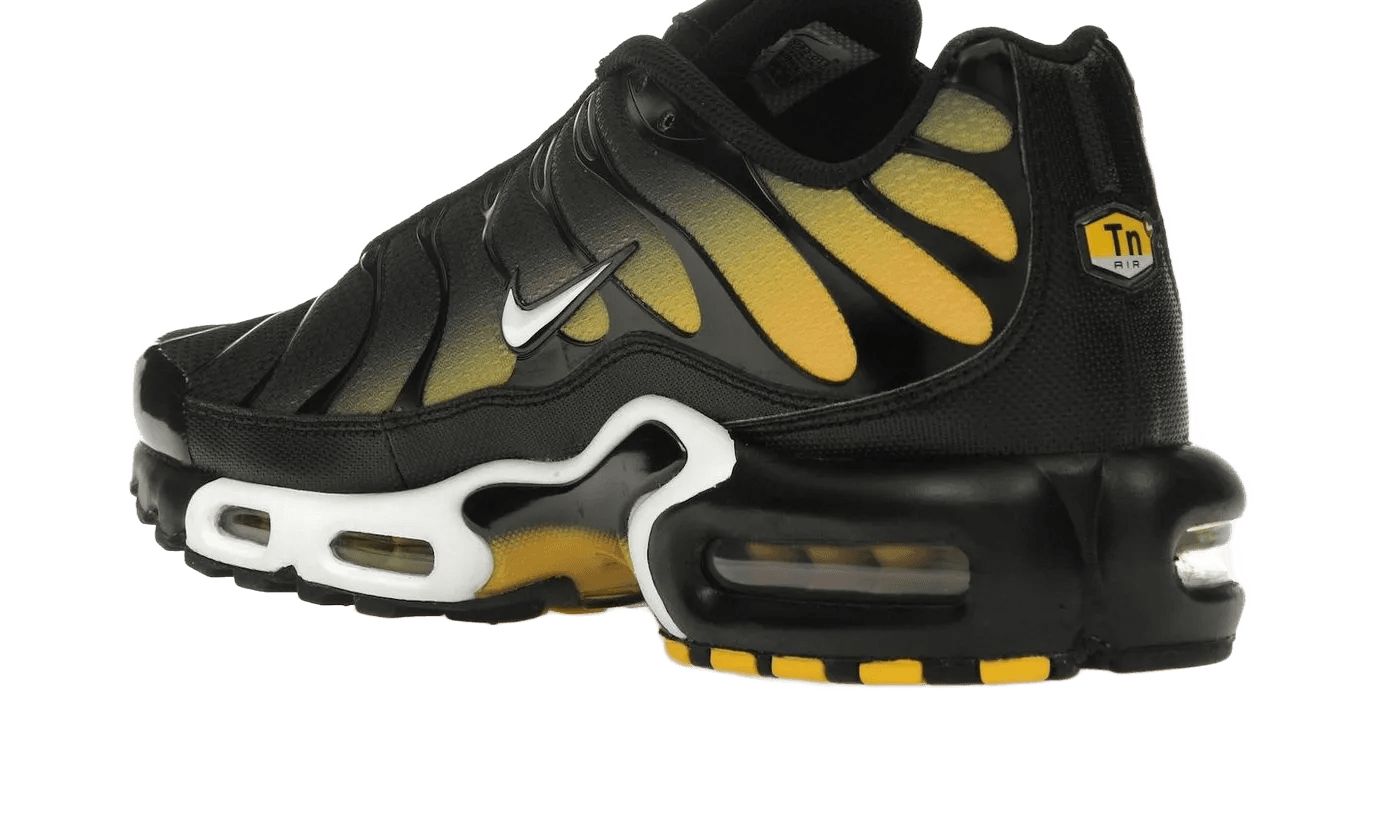 Nike Air Max Plus Black University Gold White