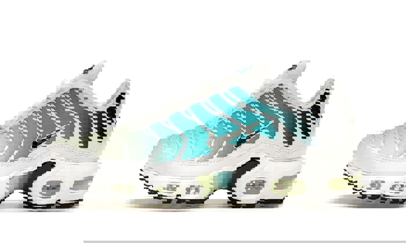 Nike Air Max Plus Dusty Cactus Barely Volt