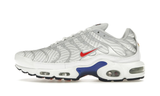 Nike Air Max Plus Euro Tour