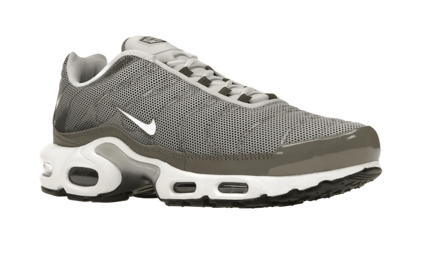 Air Max Plus Flat Pewter - DV7665-002