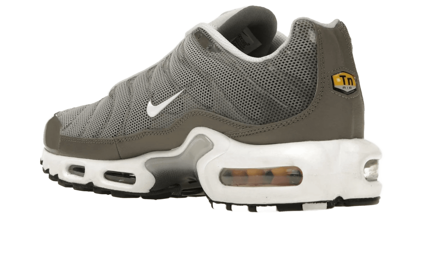 Air Max Plus Flat Pewter - DV7665-002