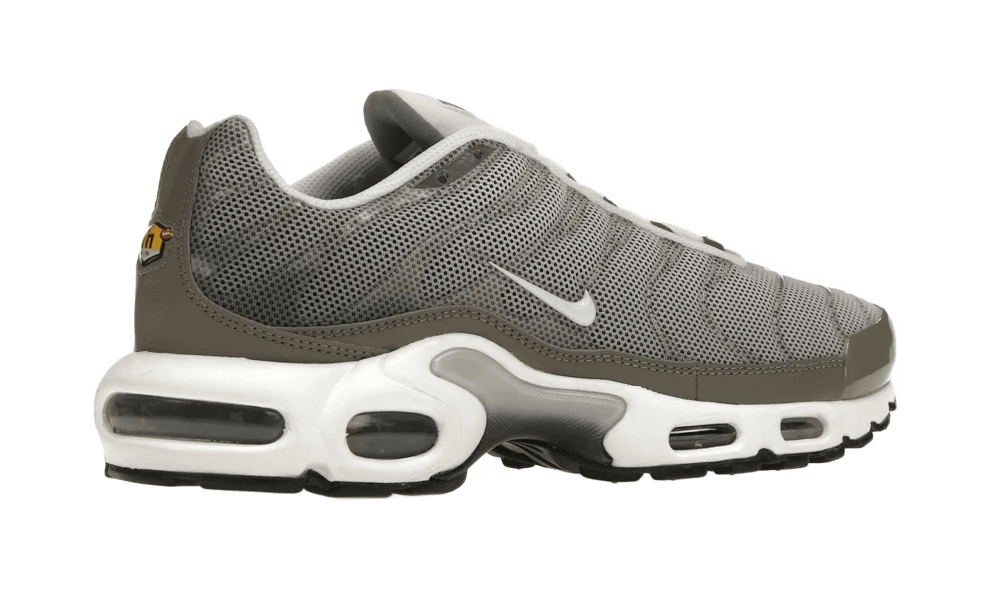 Air Max Plus Flat Pewter - DV7665-002