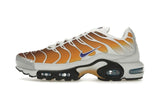 Nike Air Max Plus One Block Down Chutney
