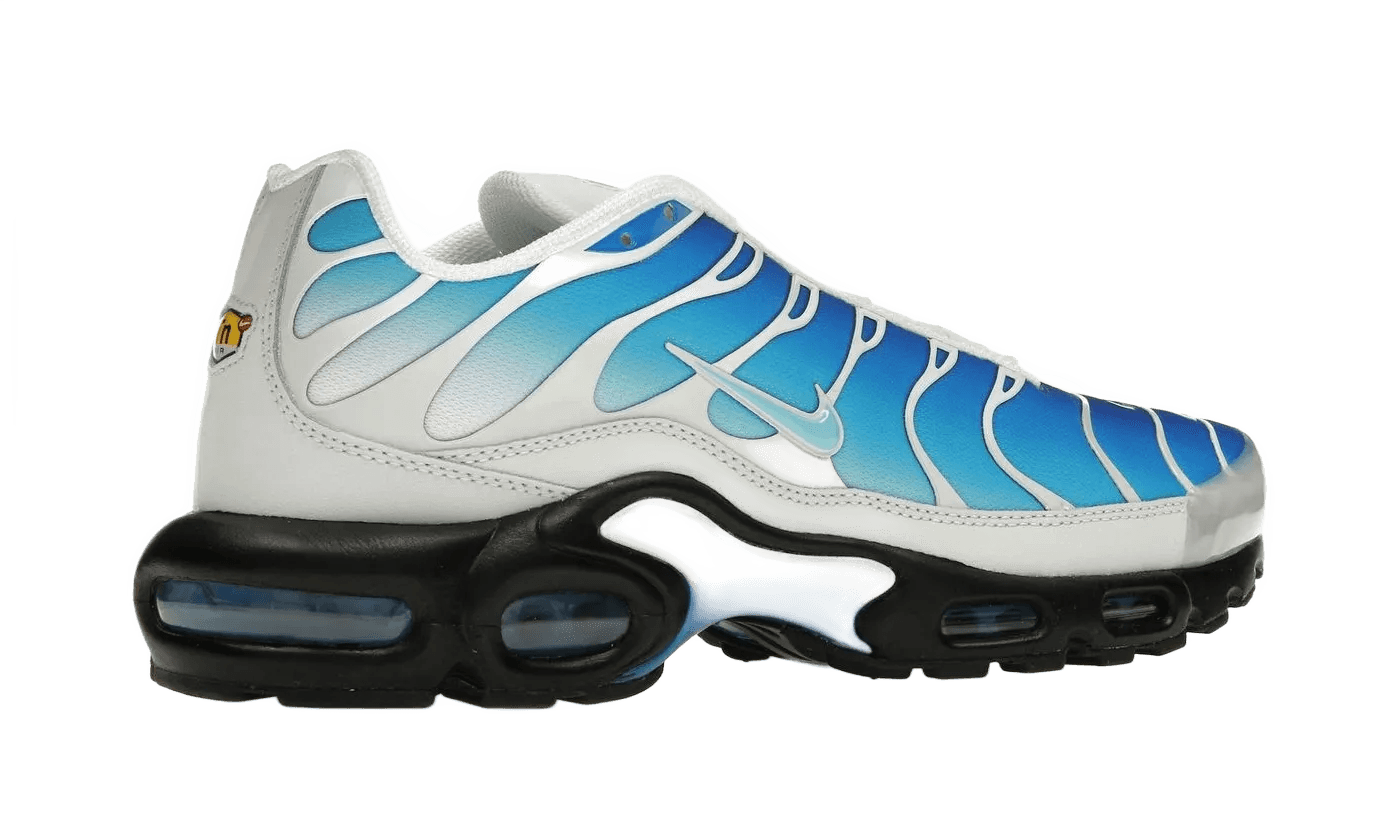 Air Max Plus One Block Down Light Photo Blue - FZ3308-400